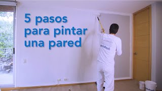 5 pasos para pintar una pared [upl. by Nitsoj371]