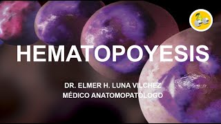 HEMATOPOYESIS  Dr Elmer H Luna Vilchez [upl. by Grigson]