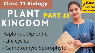 Plant kingdom  Class 11 Biology  Haplontic Diplontic  Part 11 [upl. by O'Mahony343]