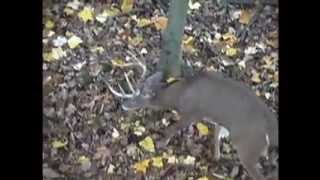 2013 Ohio Deer Hunting Lease Openings Deer Mecca Huntclub Hunting Club [upl. by Enois]