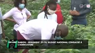 Reportage Gabon  seulement 2 du budget national consacré à l’agriculture [upl. by Cotsen]