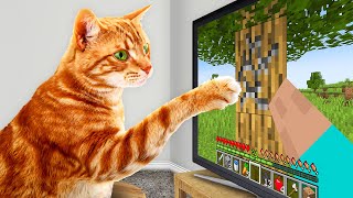 I Taught My Cats to Beat Minecraft in Real Life [upl. by Whitten]