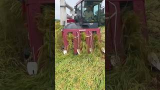 satisfying अजीबोगरीब केकड़ा ट्रैक्टर😱🤯Swaraj Code Tractor indianfarmer shorts [upl. by Itak]