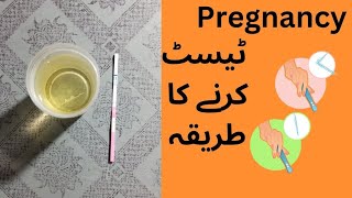 Pregnancy test  Pregnancy Test kaise karte hain  how to check pregnancy test at home [upl. by Gitlow]