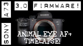 Sony A7iii Firmware 30 Animal Eye AF Intervalometer  Update tutorial [upl. by Nnayllehs]