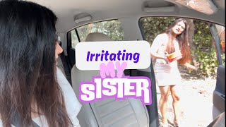 Chappal utha li behen ne Irritating my sister vlog prank [upl. by Hufnagel544]