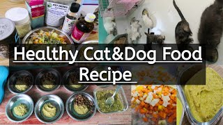 Homemade amp Healthy Food for Pets [upl. by Haggi]