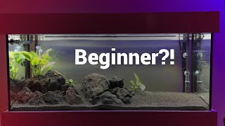 Een beginners eerste aquarium Dit is next level mooi als je het mij vraagt [upl. by Richelle]