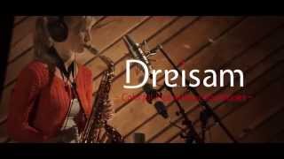 DREISAM  Teaser Album  SOURCE [upl. by Haliehs]