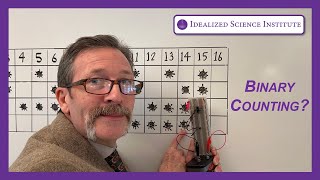 Build a Binary Counter Using Simple Circuits to Explain How Computers Count [upl. by Flossie]