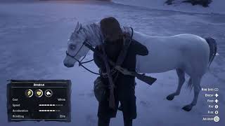 Red Dead Story Mode Rare White Arabian Horse Location [upl. by Anidene]