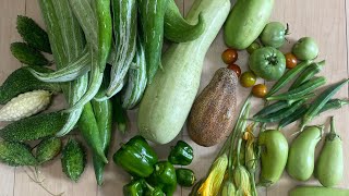 জাপানে প্রচুর বাংলাদেশী সবজি চাষ  Huge production of Vegetables in our JAPAN farm [upl. by Waldman]