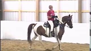 Locking Stifle Syndrome in the Gaited Horse [upl. by Aehtrod]