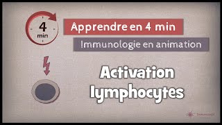 28 ◽ Activation des lymphocytes [upl. by Sokem]