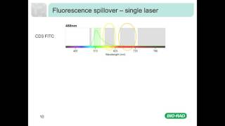 Fluorescence and Compensation in Flow Cytometry [upl. by Paine]