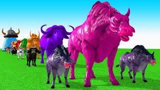 Paint Animals Cow CartoonBuffaloBullyakOxFountain Crossing Animal Game [upl. by Tranquada]