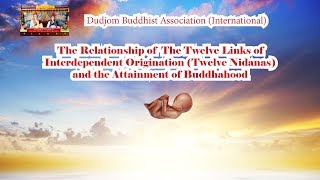 12 Links of Interdependent Origination amp Attainment of Buddhahood Origin of Sentient Beings [upl. by Shelden]