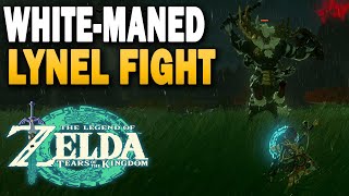 Zelda Tears Of The Kingdom White Lynel Fight [upl. by Linnell]