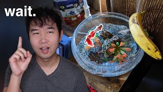 BETTA FISH BOWL DONE RIGHT  Fish Tank Review 279 [upl. by Orvas]