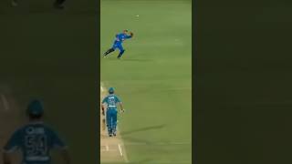 Best wicket keeper catches in cricket history  Wicket keeper catches shorts [upl. by Mogerly]