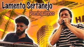 Lamento Sertanejo  Dominguinhos Duo Igor Kasuya e Fabio Caetano [upl. by Ainesell386]