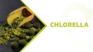 Chlorella Health Benefits Everything You Should Know About this Superfood [upl. by Armin]