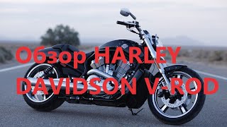 Обзор HARLEY DAVIDSON VROD  Замер 0100 кмч [upl. by Nwadal]