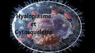 HYALOPLASME ET CYTOSQUELETTE [upl. by Edmanda]