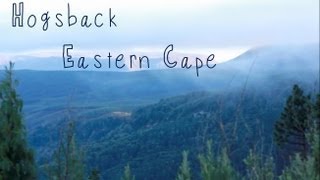 The Surroundings Hogsback eastern cape Amatola Mountains [upl. by Shayla]