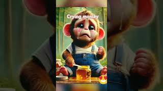 Monkey eating honey funny entertainment cute laugh [upl. by Rebak]