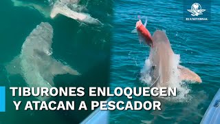 Tiburones atacan a hombre que pescaba en su lancha de motor [upl. by Jarad797]