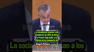 Los socialistas acusan a los senadores de VOX de llevar a Franco bajo palio 👏🏻 Angel Pelayo [upl. by Airtemad406]