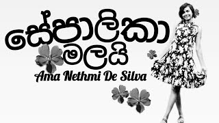 සේපාලිකා මලයි  Sepalika Malai  Ama Nethmi De Silva  Sinhala cover song  My Ability [upl. by Humfrey]