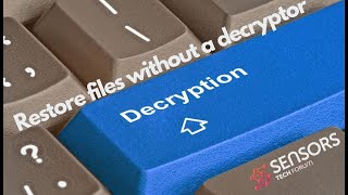 Restore Files Encrypted by Ransomware No Decryptor [upl. by Wilkison]