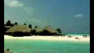 meeru island travels maldives sea beautiful beach [upl. by Lejeune]