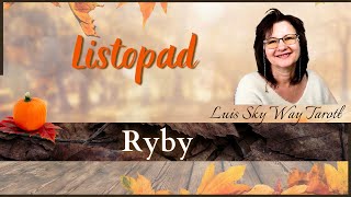 RYBY  Listopad 2024 [upl. by Benenson]