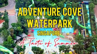 ADVENTURE COVE WATERPARK Singapore [upl. by Merilyn]