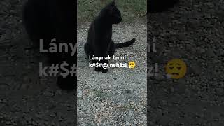 Lánynak lenni k nehéz😮‍💨 [upl. by Hector]