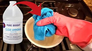 5 Surprising Ways to Clean with Ammonia Everyone Should Know ⚡Brilliant [upl. by Nawuj]