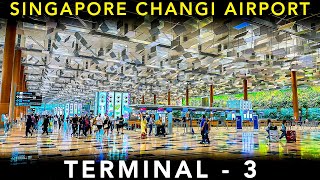 A COMPLETE guide on TERMINAL3 at SINGAPORE CHANGI AIRPORT  Airport Experience [upl. by Keisling]