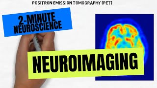 2Minute Neuroscience Neuroimaging [upl. by Yrrum]