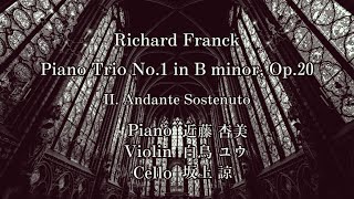 RFranck  Piano Trio No1 B minor Op20 mov2 [upl. by Ulah]