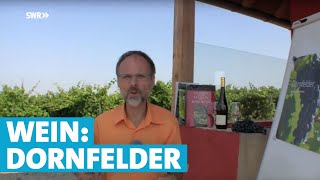 Werner erklärt Wein Dornfelder [upl. by Ormond571]