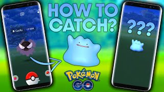 HOW TO CATCH SHINY DITTO IN THE WILD in POKEMON GO [upl. by Nylhtiak]