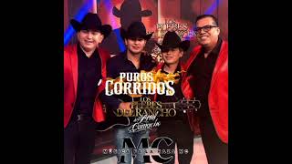 Mix De Puros Corridos De Los Plebes Del Rancho De Ariel Camacho [upl. by Assiluy754]