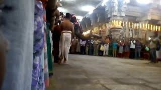 Srirangam elephant singing [upl. by Neened286]