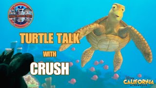 Dude It’s Turtle Talk With Crush  West Coast Version from Disney’s California Adventure Park [upl. by Ateval838]