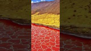 Lake Natron Tanzania  10 Most Dangerous Places on Earth [upl. by Yenroc]