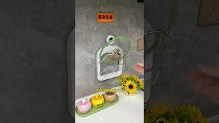 Suction Cup Pot Lid Rack  Convenient Clean Storage for Your Kitchen [upl. by Aholla]