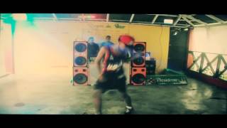 Los Geniales baile De Dembow 2014 [upl. by Gage]